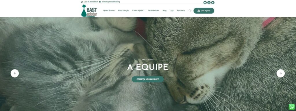 Criação do Site Bastadotar